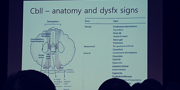 f77cc59c91c537aebdcded6b5b92d36a_1588567