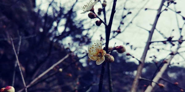 f77cc59c91c537aebdcded6b5b92d36a_1588567