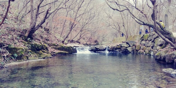 f77cc59c91c537aebdcded6b5b92d36a_1588567