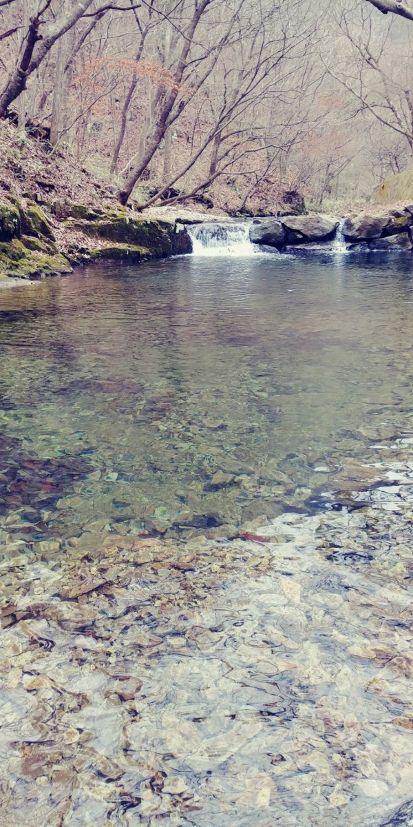 f77cc59c91c537aebdcded6b5b92d36a_1588567