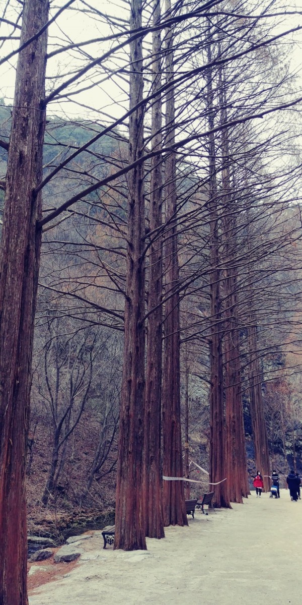 f77cc59c91c537aebdcded6b5b92d36a_1588567